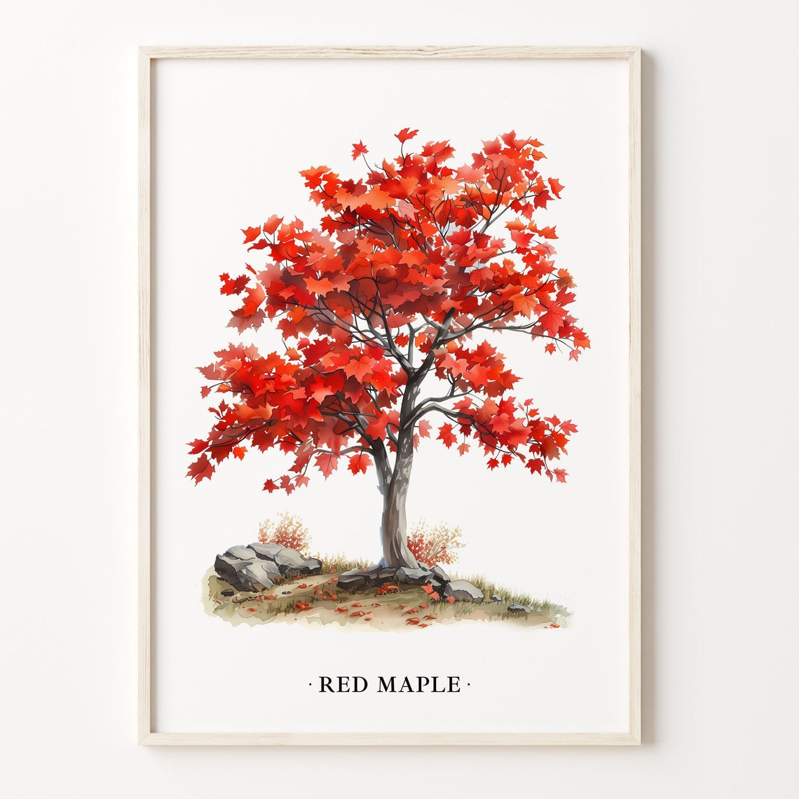 Red Maple Tree Watercolor Autumn Fall Foliage Wall Decor Poster