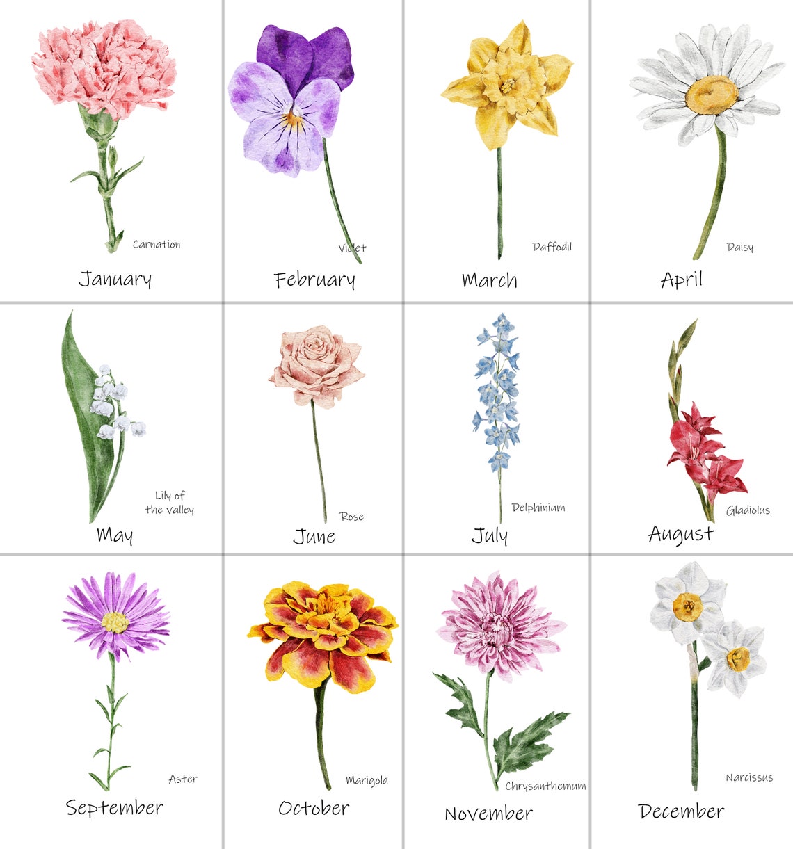 The Henry Family Watercolor Bouquet Daisy Rose Aster Keepsake Poster - Image 2