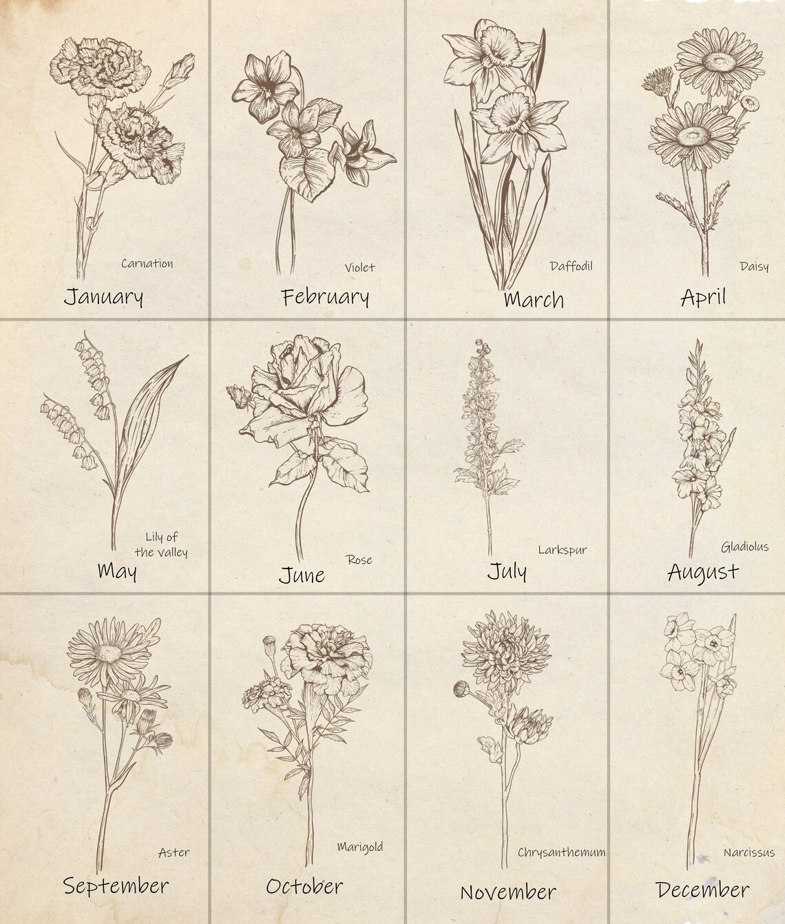 Family Birth Month Flower Custom Sepia Art Print - Image 3