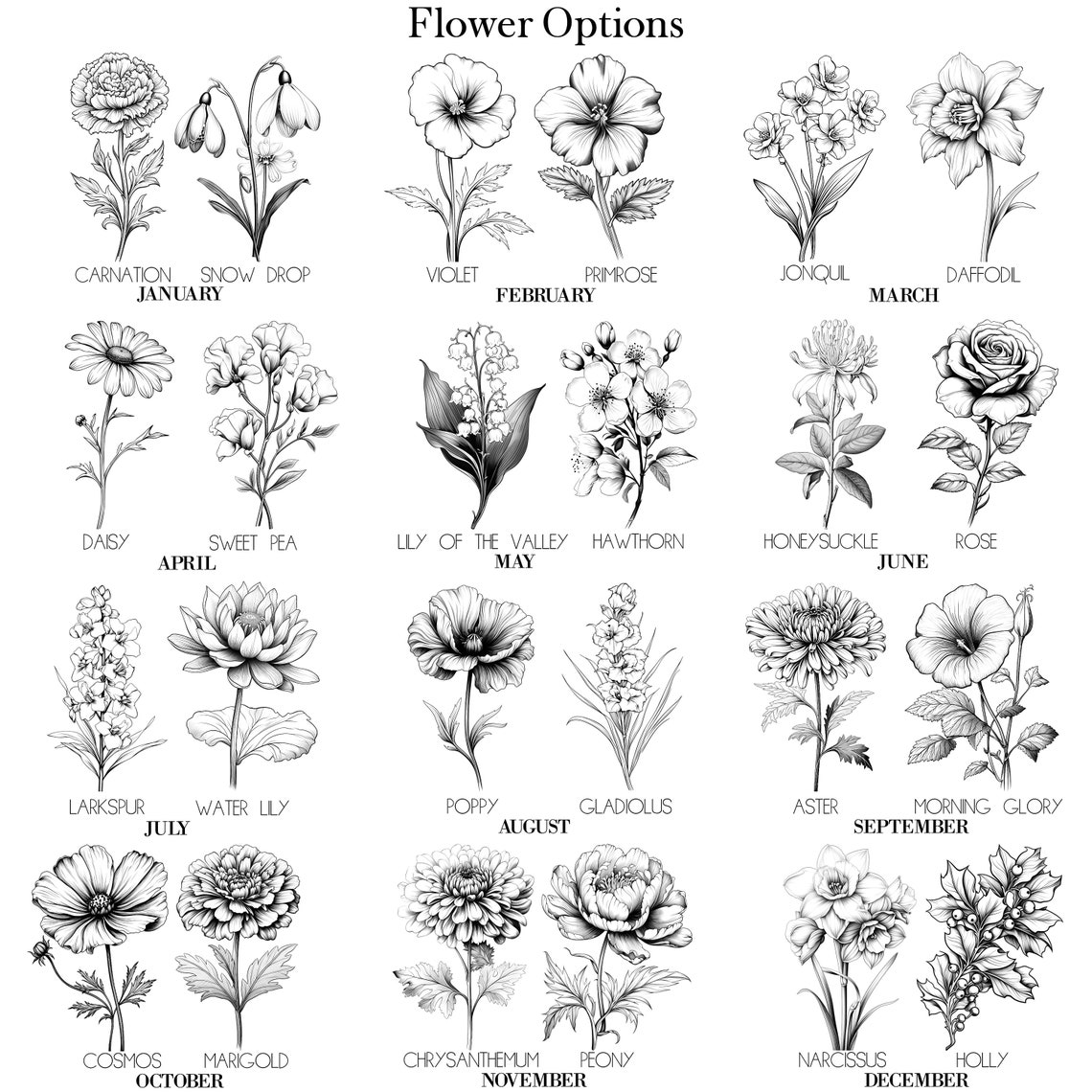 October Cosmos Flower Black And White Botanical Line Art Poster - Image 2