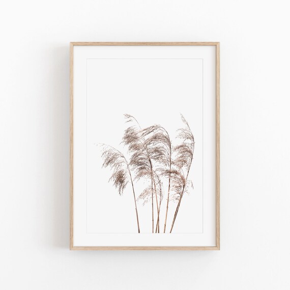 Pampas Grass Print, Farmhouse Rustic Decor
