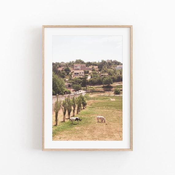 Provence Travel Poster, France Landscape View