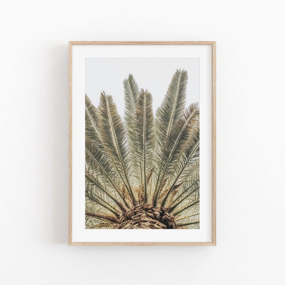 Palm Tree Beach Art Print, Modern Minimalist Poster