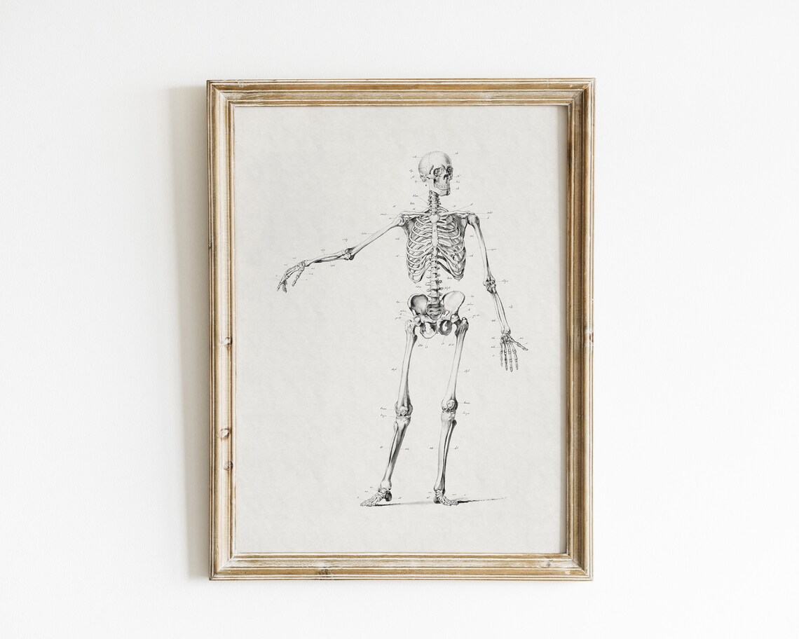 Vintage Halloween Skeleton Wall Art, Poster Print