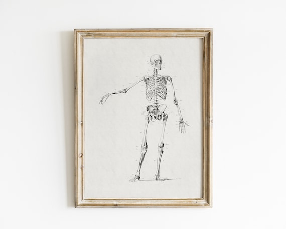 Vintage Halloween Skeleton Wall Art, Poster Print
