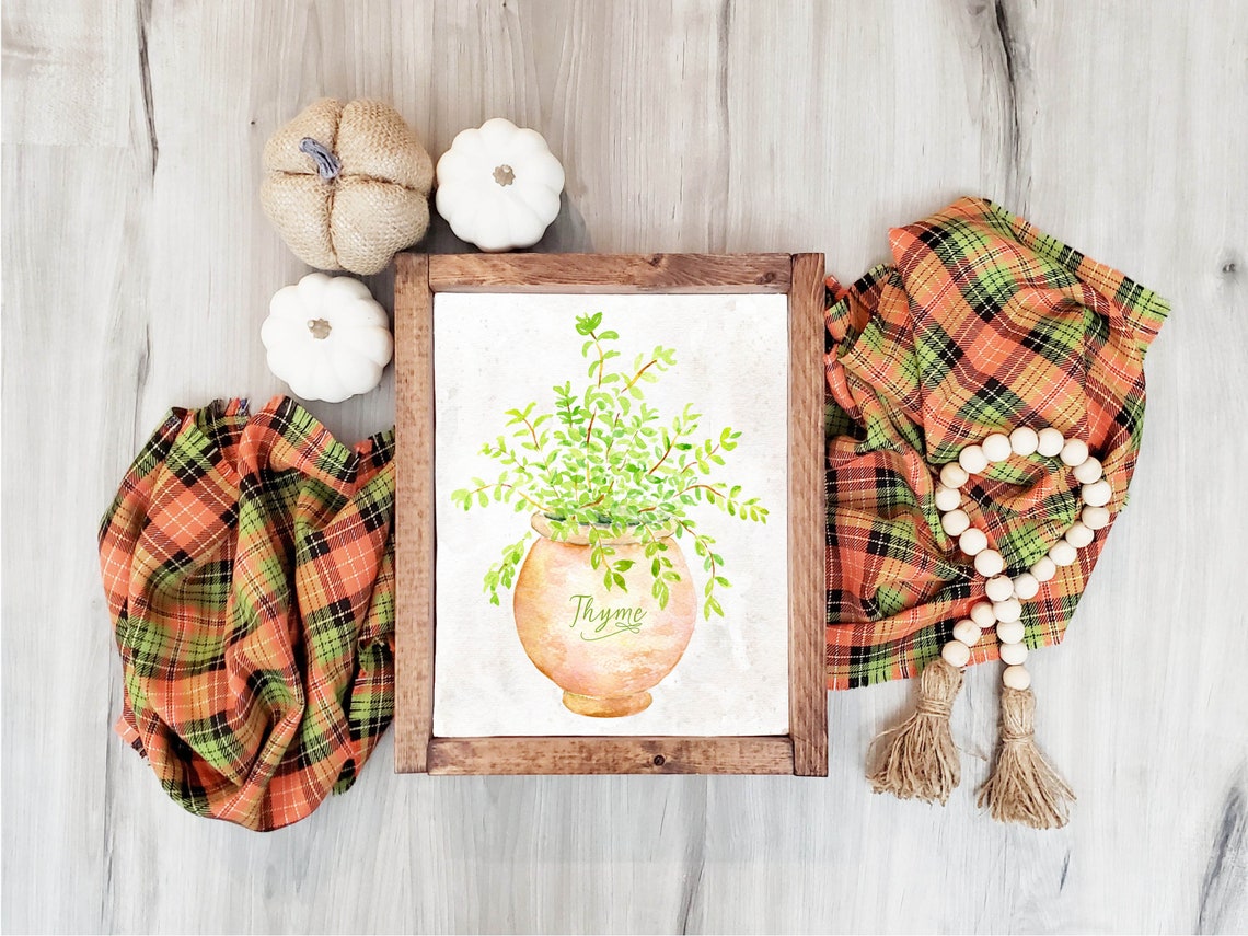 Thyme Watercolor Herb in Terracotta Pot Kitchen Botanical Wall Poster - Image 2
