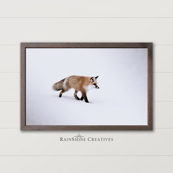 Red Fox Walking Through Deep Snow Winter Wildlife Art Poster