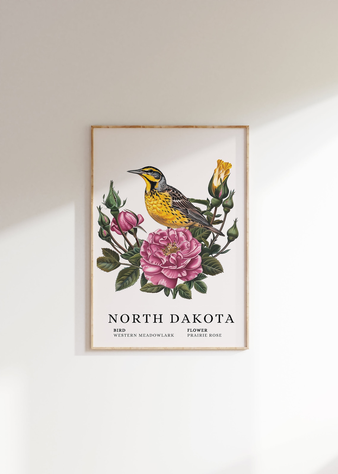 North Dakota Western Meadowlark Prairie Rose Bird Flower Art Print