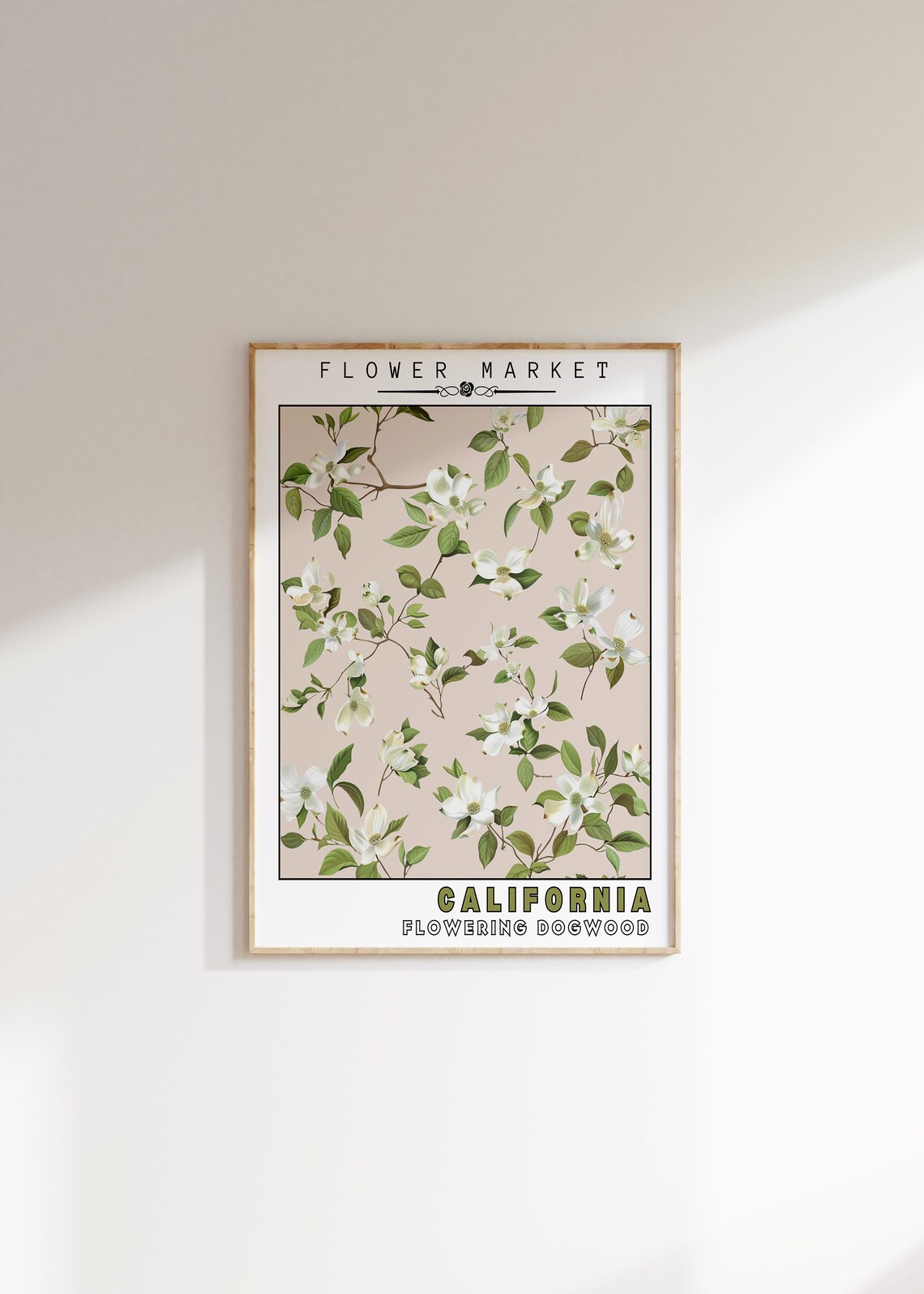 California Flowering Dogwood Flower Market Botanical Art Print