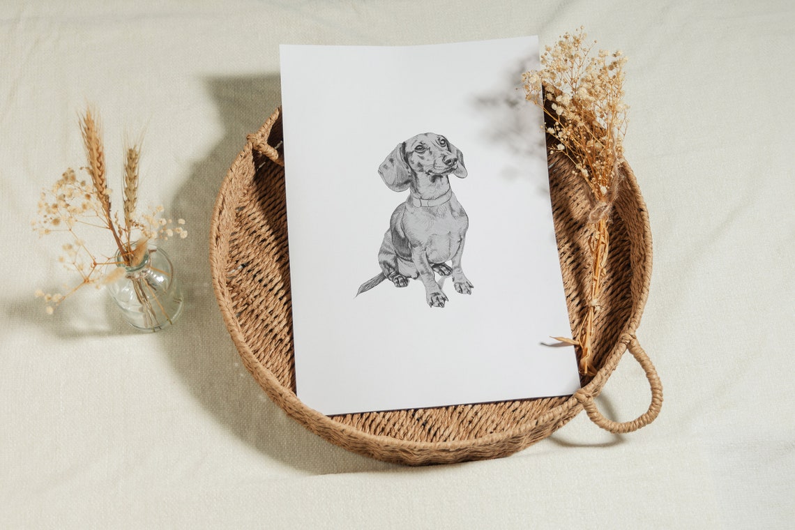 Dachshund Dog Sitting Pencil Sketch Minimalist Pet Portrait Art Print - Image 2