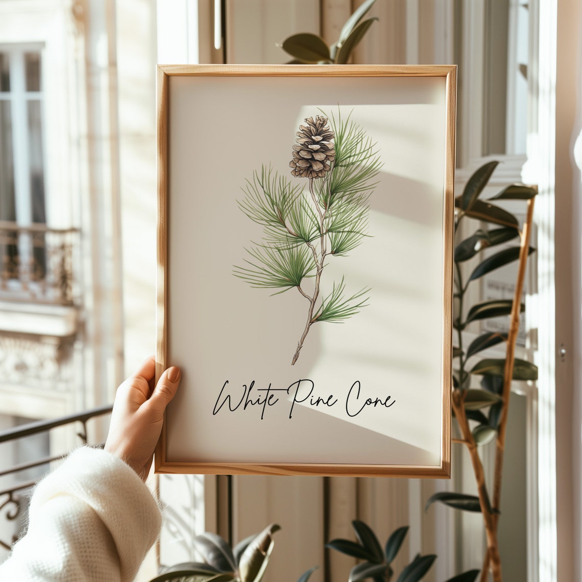 White Pine Cone Botanical Watercolor State Flower Minimalist Art Print