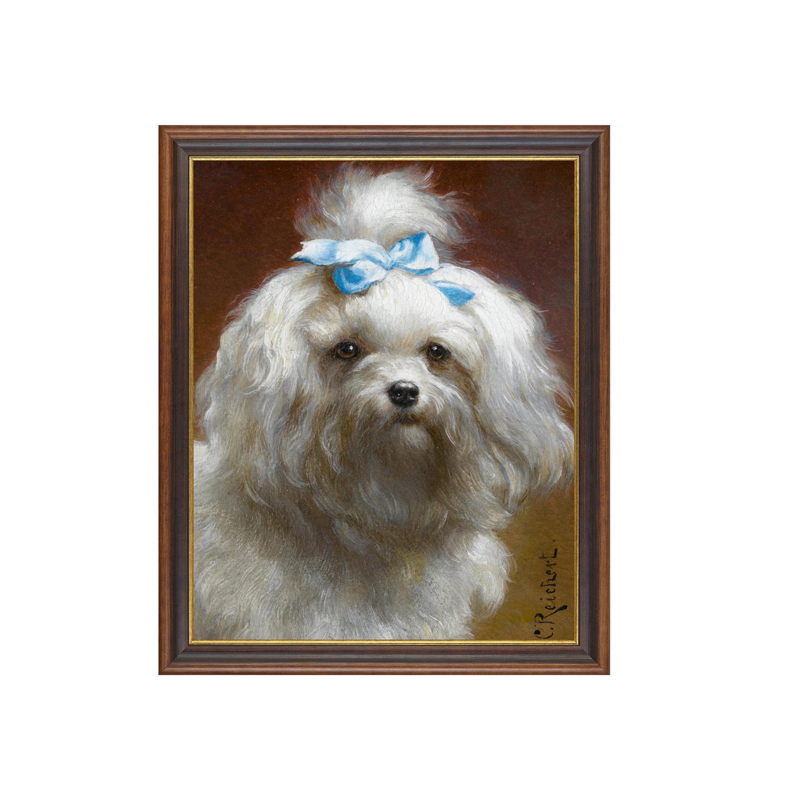 Little White Lap Dog with Blue Bow Vintage Pet Portrait Poster