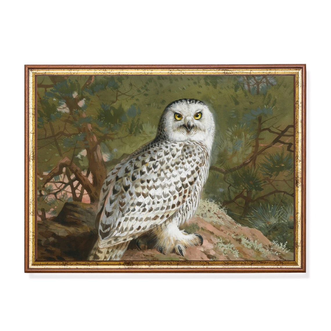 Vintage Owl Antique Bird Art Print, Rustic Farmhouse