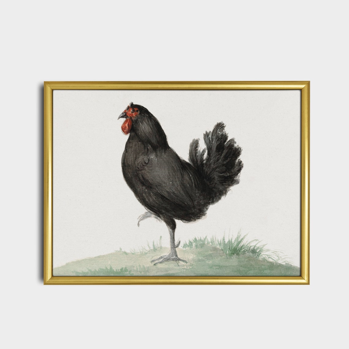 Black Rooster with a Red Comb Standing in Grass Vintage Print - Image 5