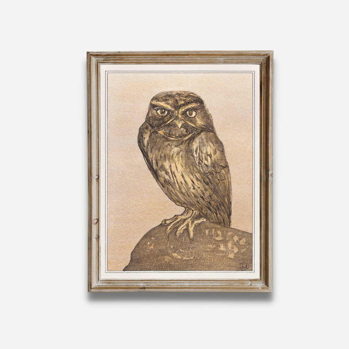 Little Owl Perched on a Rock Vintage Sepia Owl Illustration Poster