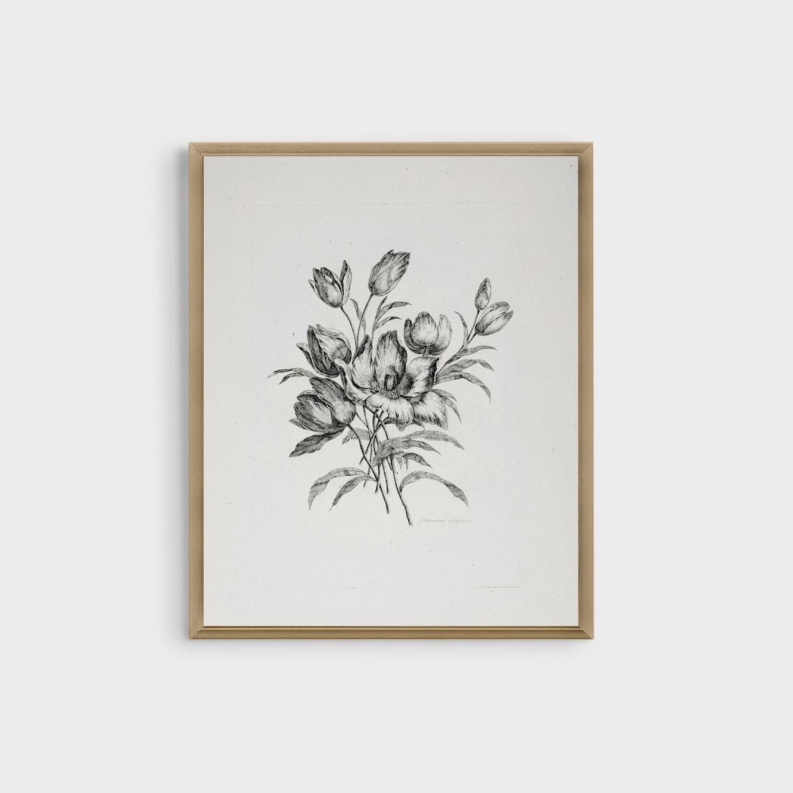 Tulip Bouquet Black and White Antique Engraving Botanical Poster