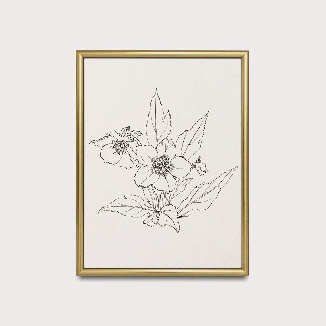 Minimalist Botanical Line Drawing of a Hellebore Flower Poster - Image 4