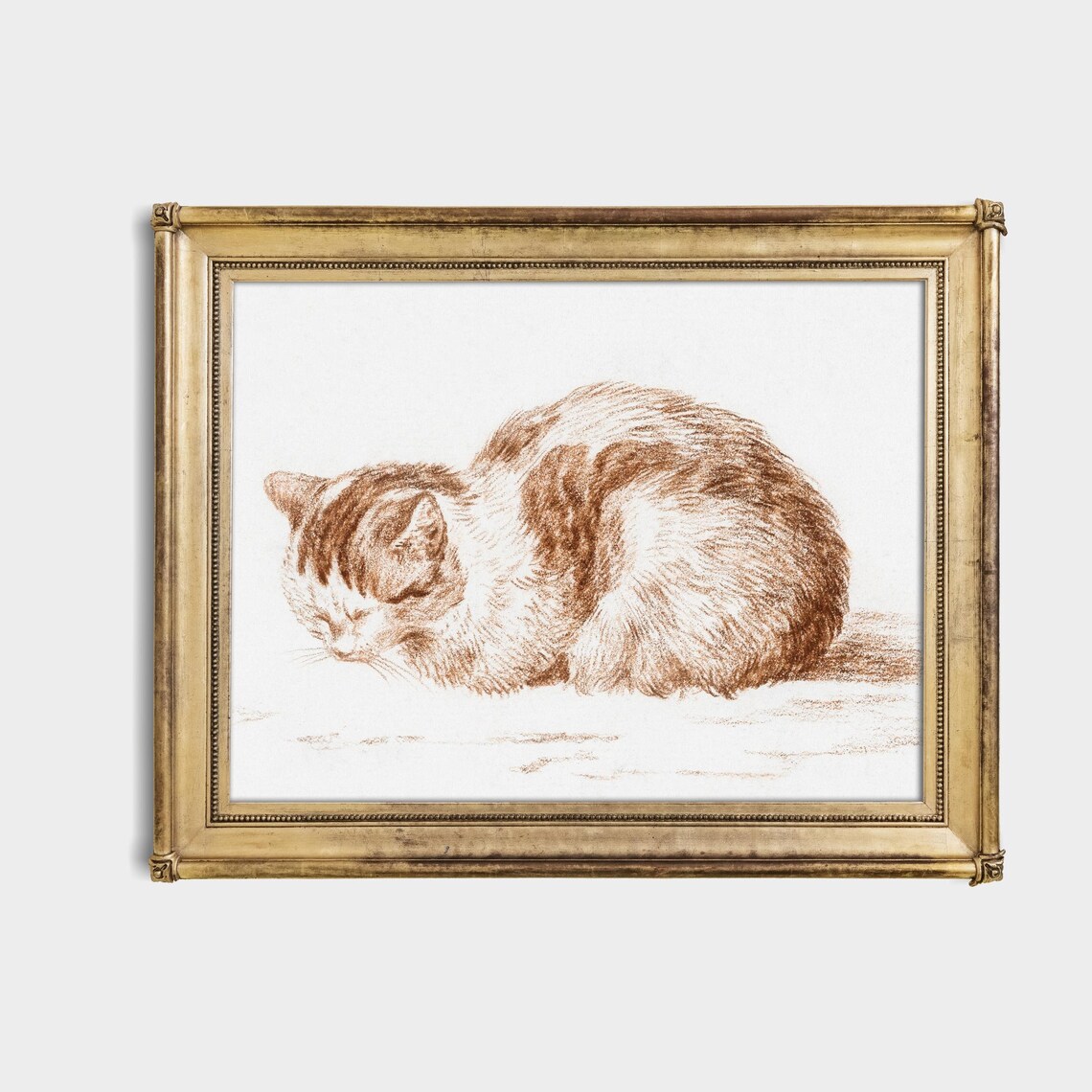 Curled Sleeping Cat in Sepia Red Chalk Vintage Sketch Poster - Image 4