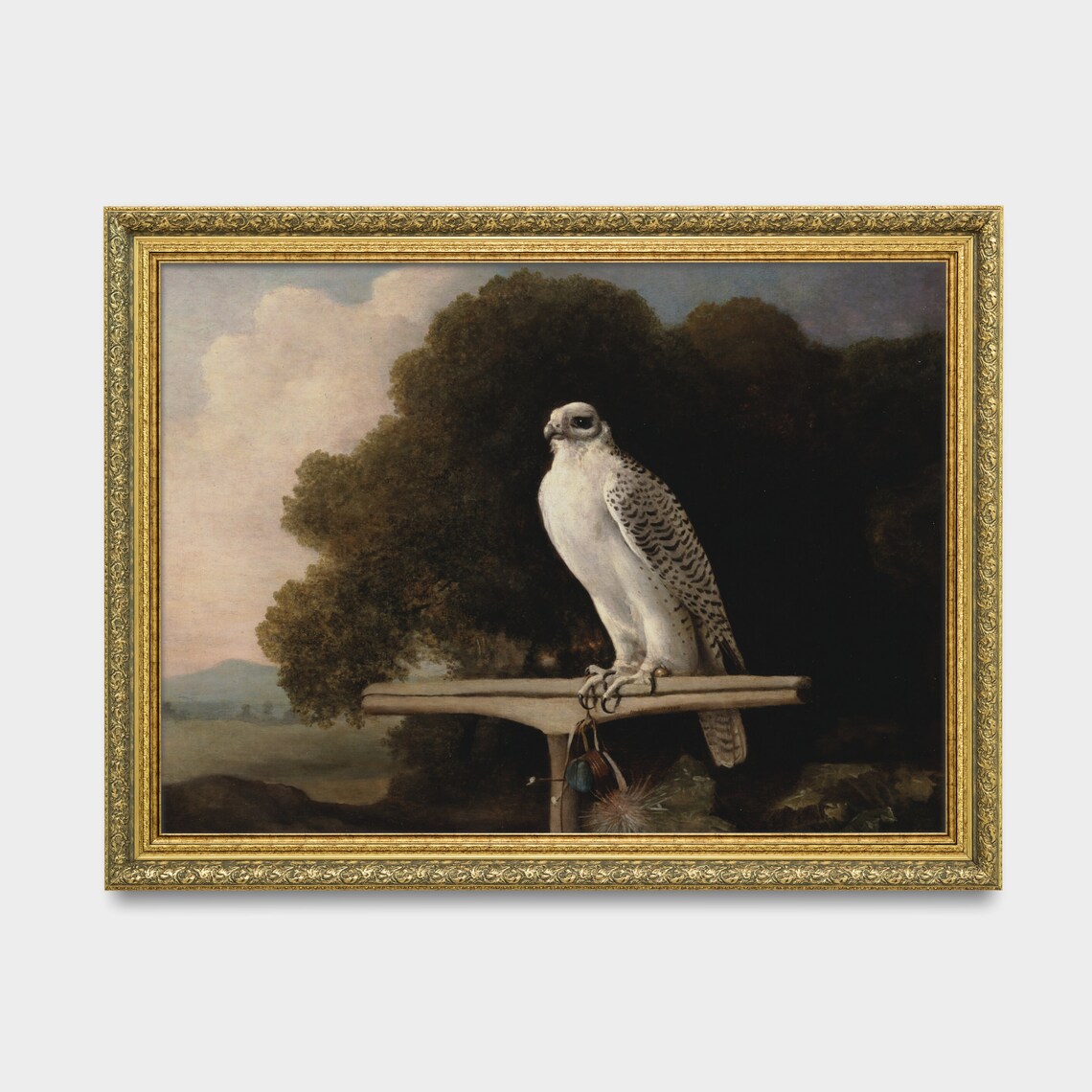 Vintage Falcon Art Print, Rustic Farmhouse Decor - Image 3