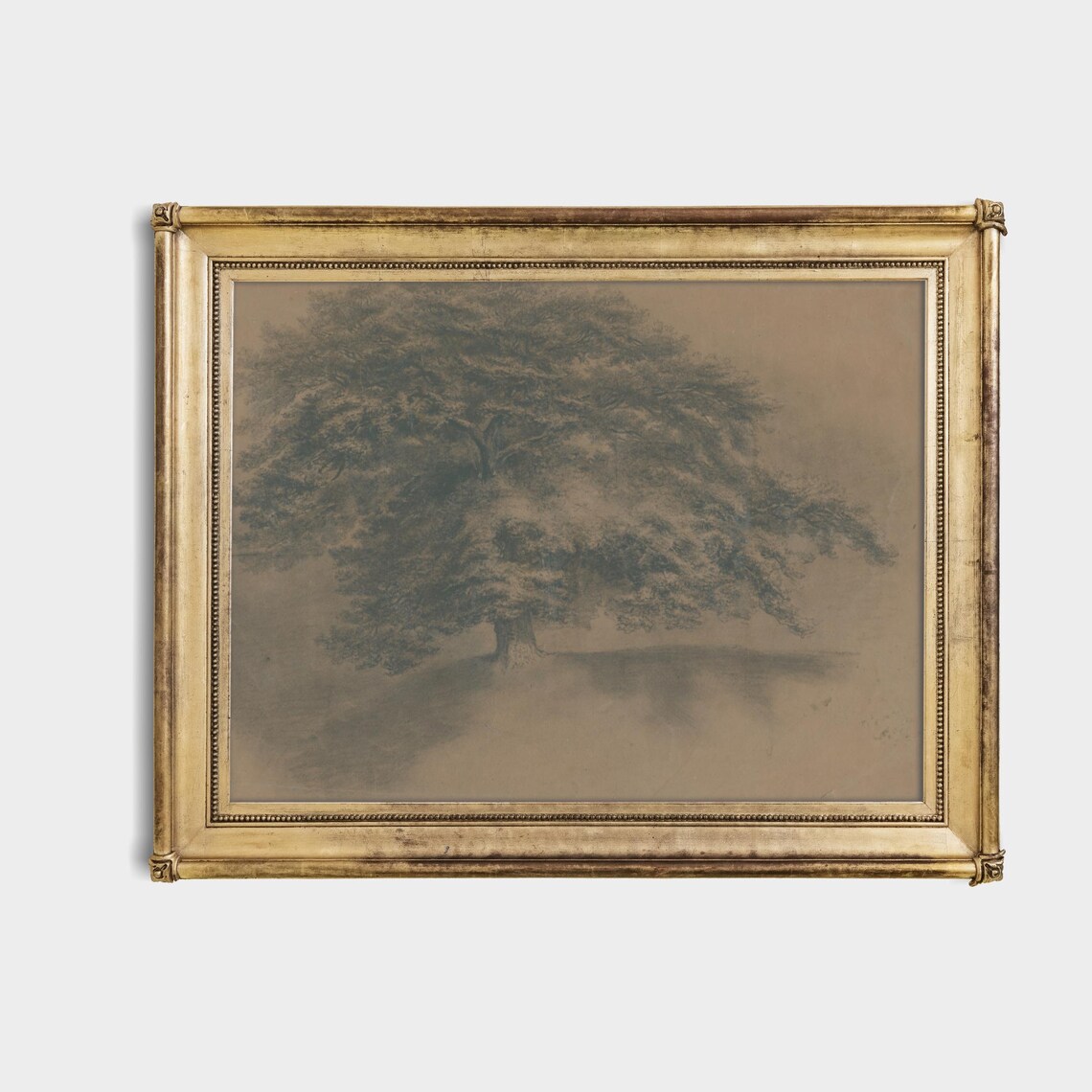 Sepia Sketch Great Spreading Tree Field Vintage Drawing Art Poster - Image 4