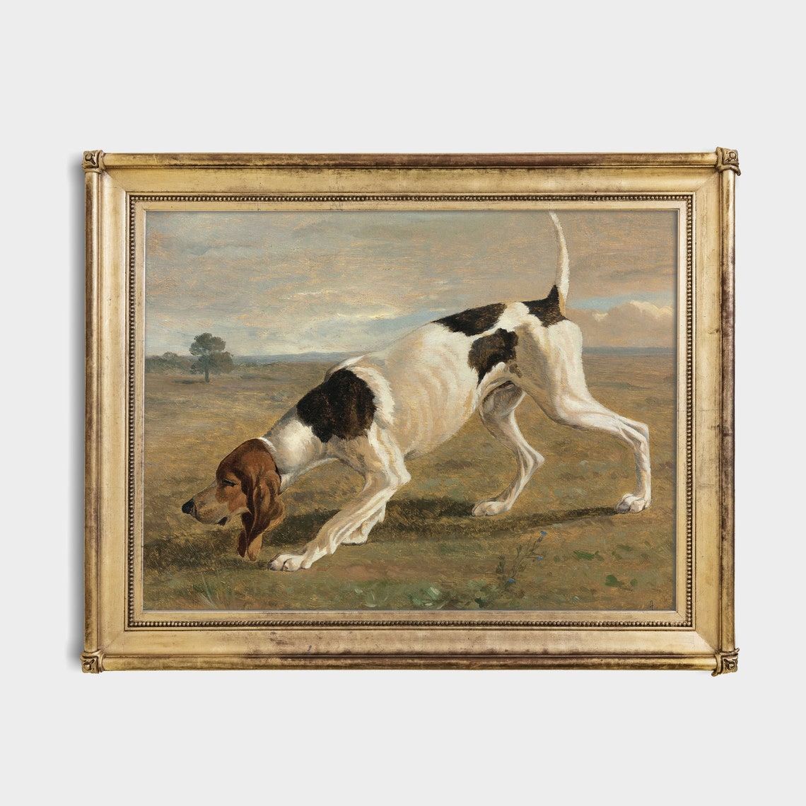 Pointer Dog Stretching in Field Vintage Sporting Dog Painting Poster - Image 2