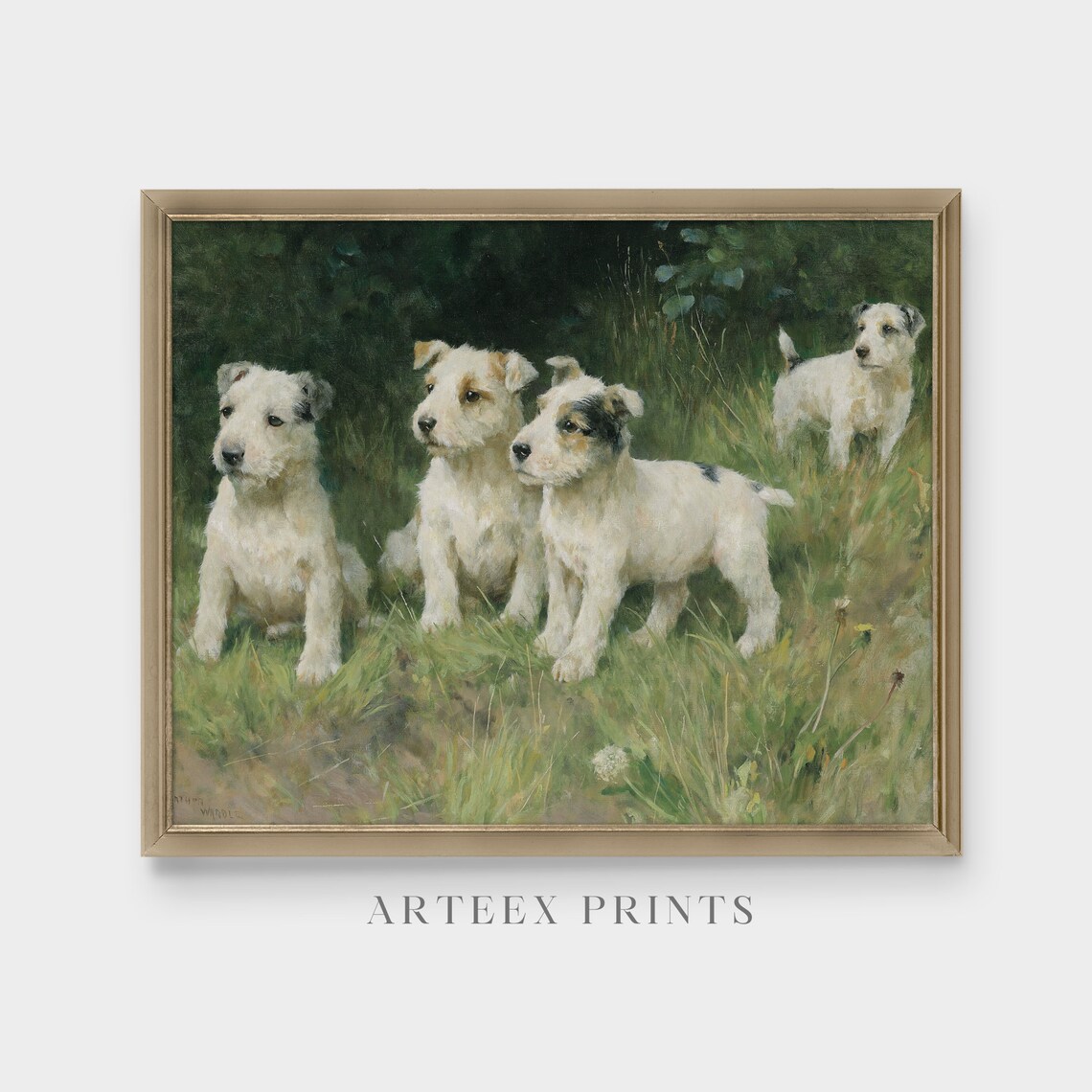 Vintage Dogs Painting Antique Animal Print, Farmhouse Decor - Image 3