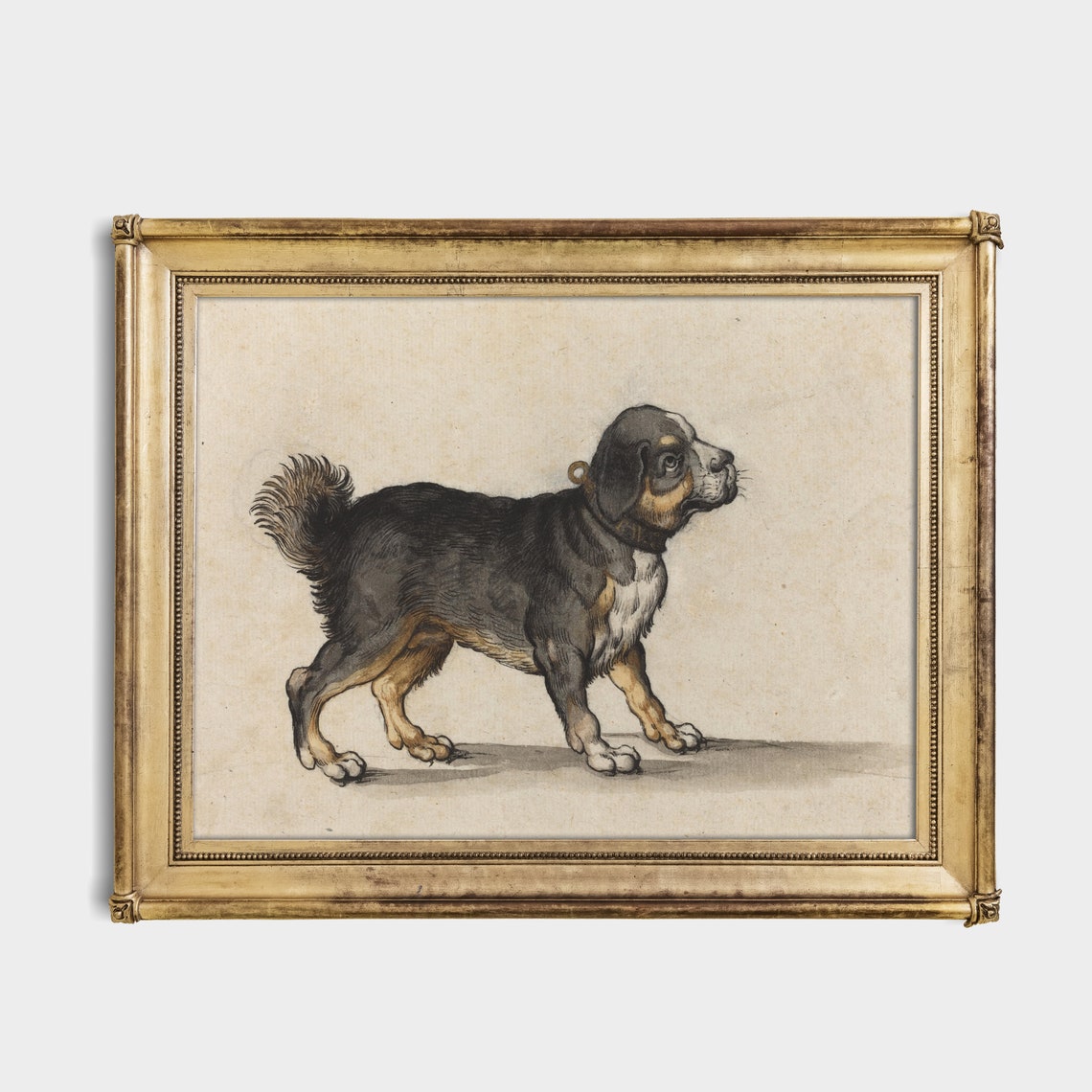 Black and Tan Puppy Standing Sideways in a Profile Study Poster - Image 2