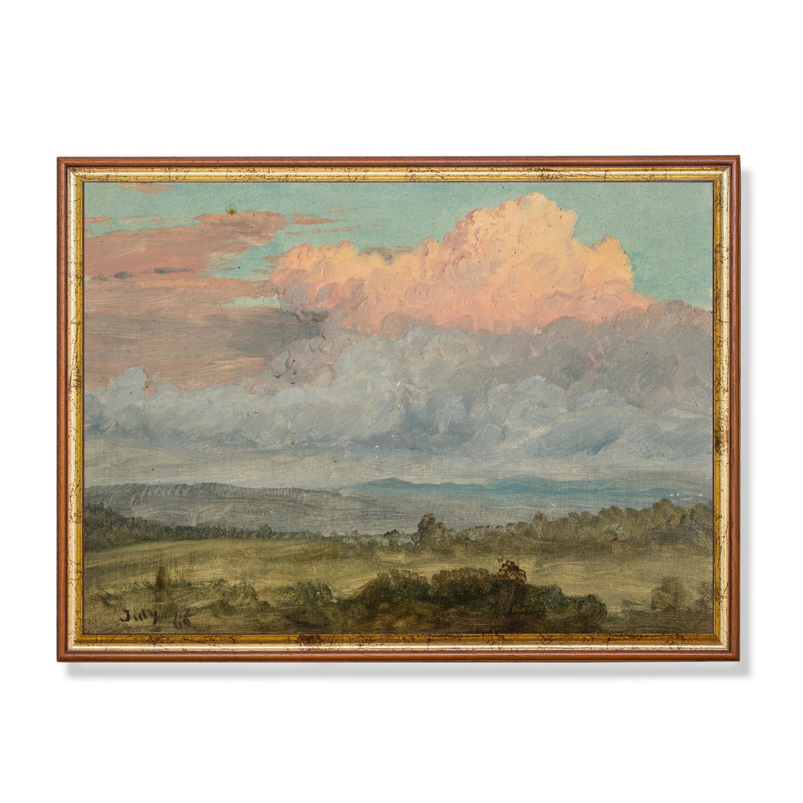 Giant Pink Summer Cloud over Green Fields Vintage Sky Study Poster