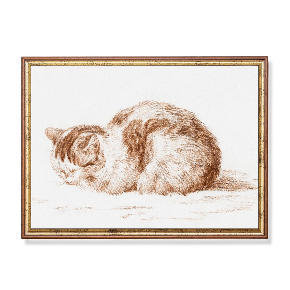Curled Sleeping Cat in Sepia Red Chalk Vintage Sketch Poster