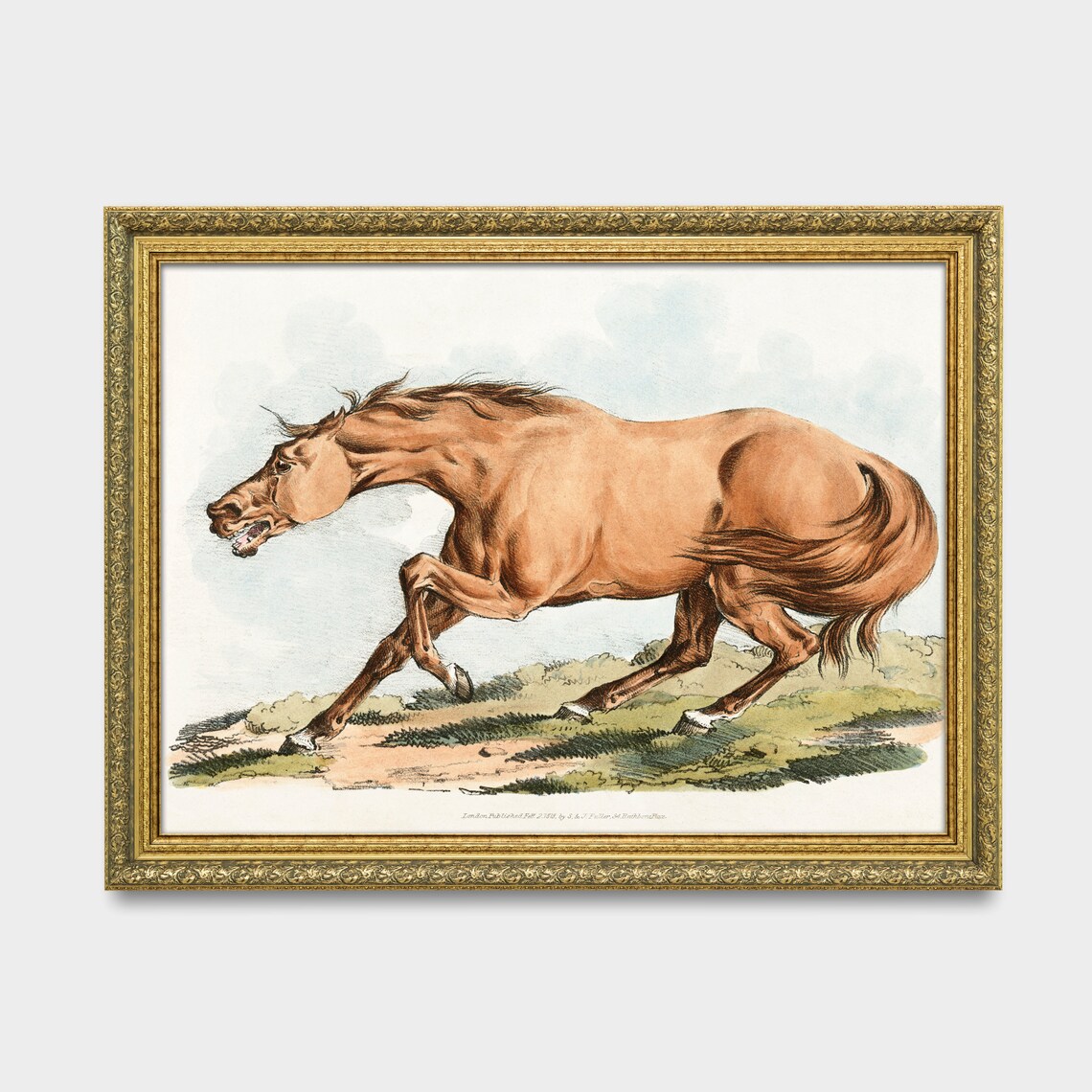 Galloping Chestnut Horse Antique Equine Engraving Vintage Art Poster - Image 2