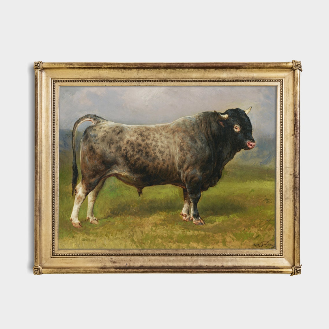 Printed And Shipped Vintage Animal Print Antique Bull Painting Farm Animal Art Farmhouse Decor Fine Art Physical Art Print - Image 2