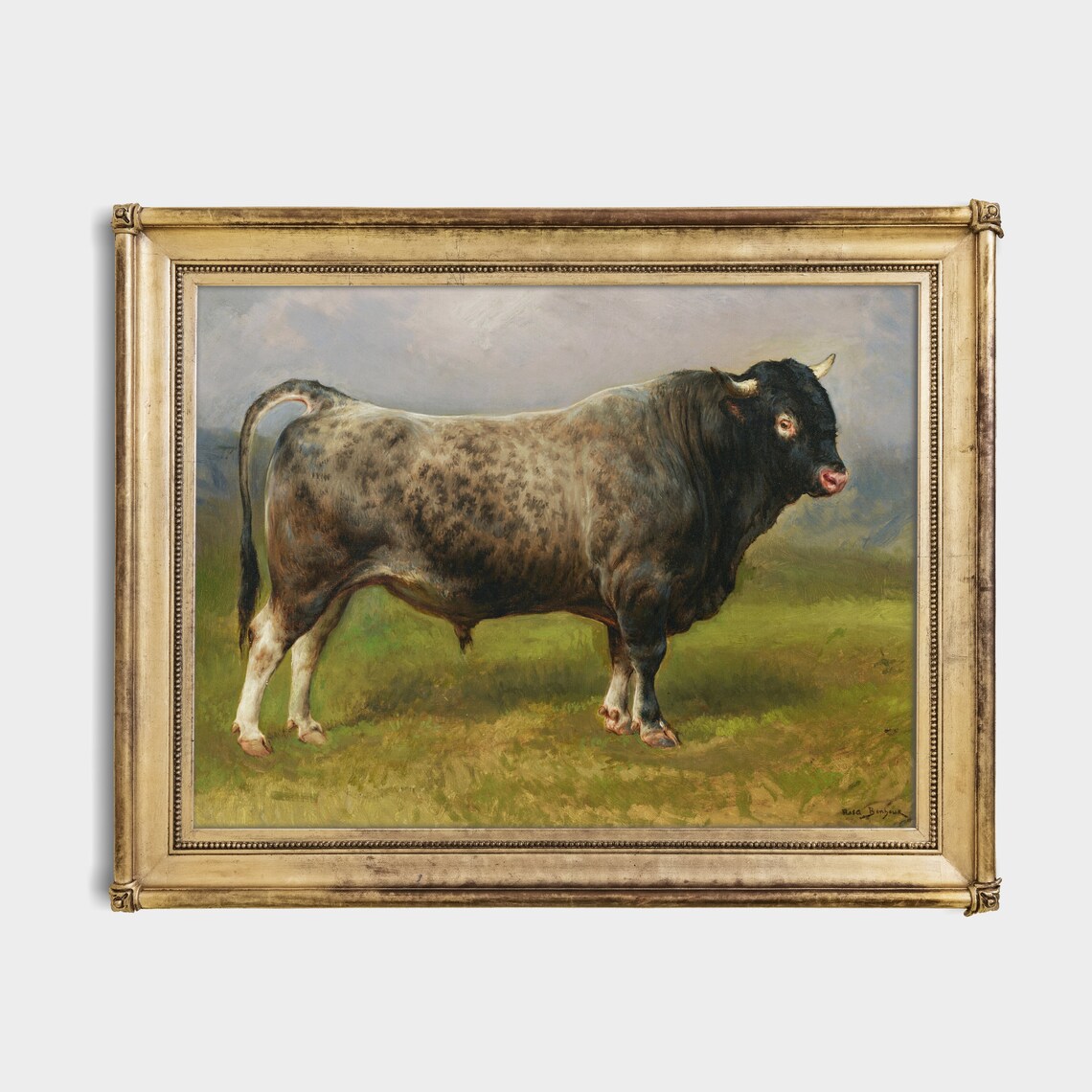 Spotted Roan Bull Standing in a Green Field Farm Animal Poster - Image 2