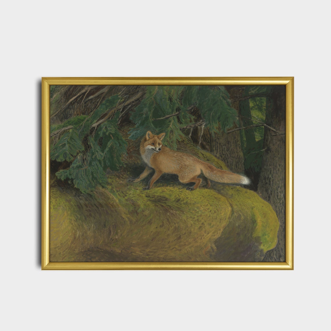 Red Fox Standing on a Mossy Rock in an Old Pine Forest Poster - Image 2