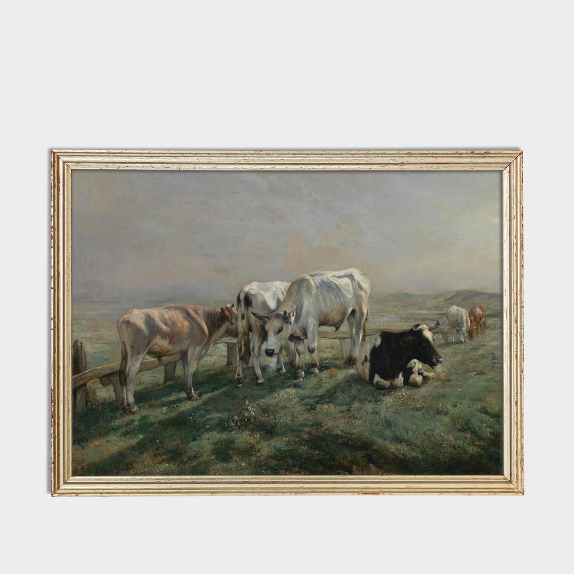 Cattle Herd Grazing in a Peaceful Meadow Antique Farm Poster - Image 2