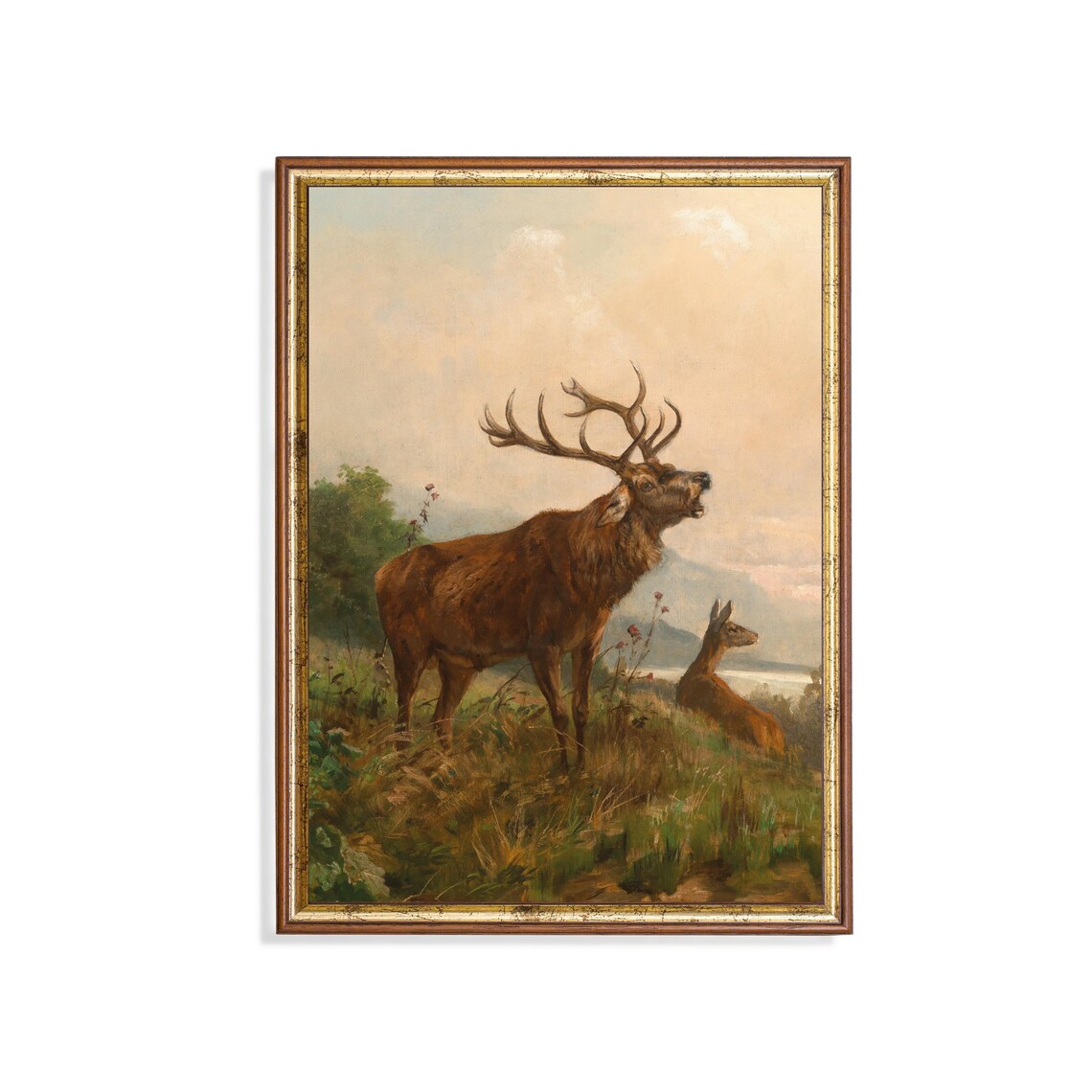 Bellowing Red Deer Stag with Hind Vintage Wildlife Art Poster