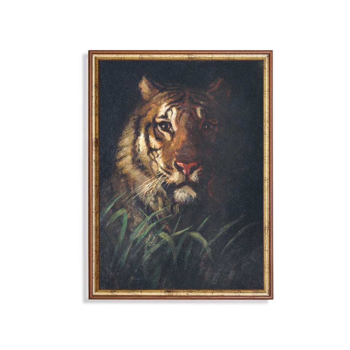 Tiger Emerging from Deep Darkness Dramatic Wildlife Portrait Poster