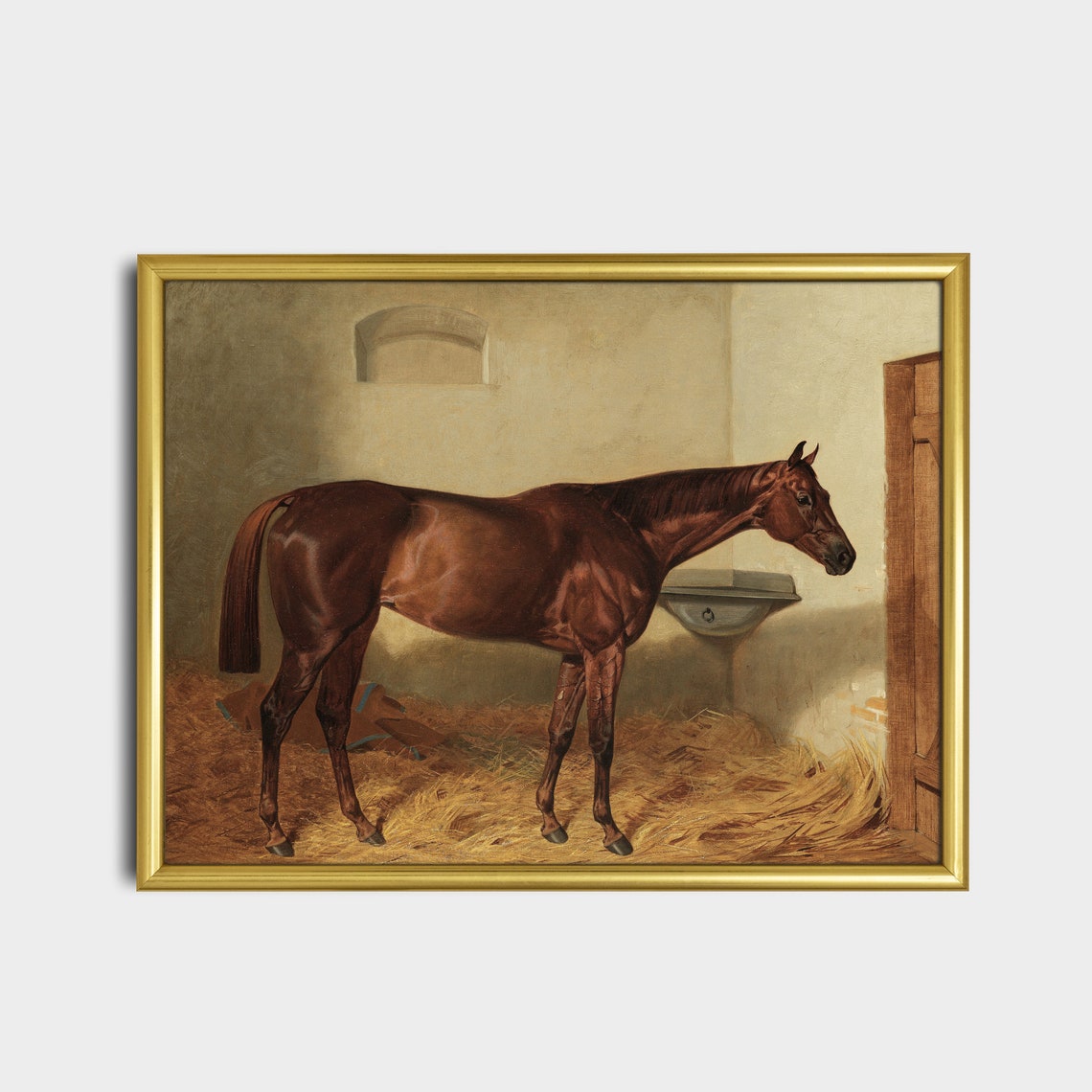 Bay Horse Standing in a Sunlit Stable Equestrian Portrait Poster - Image 5