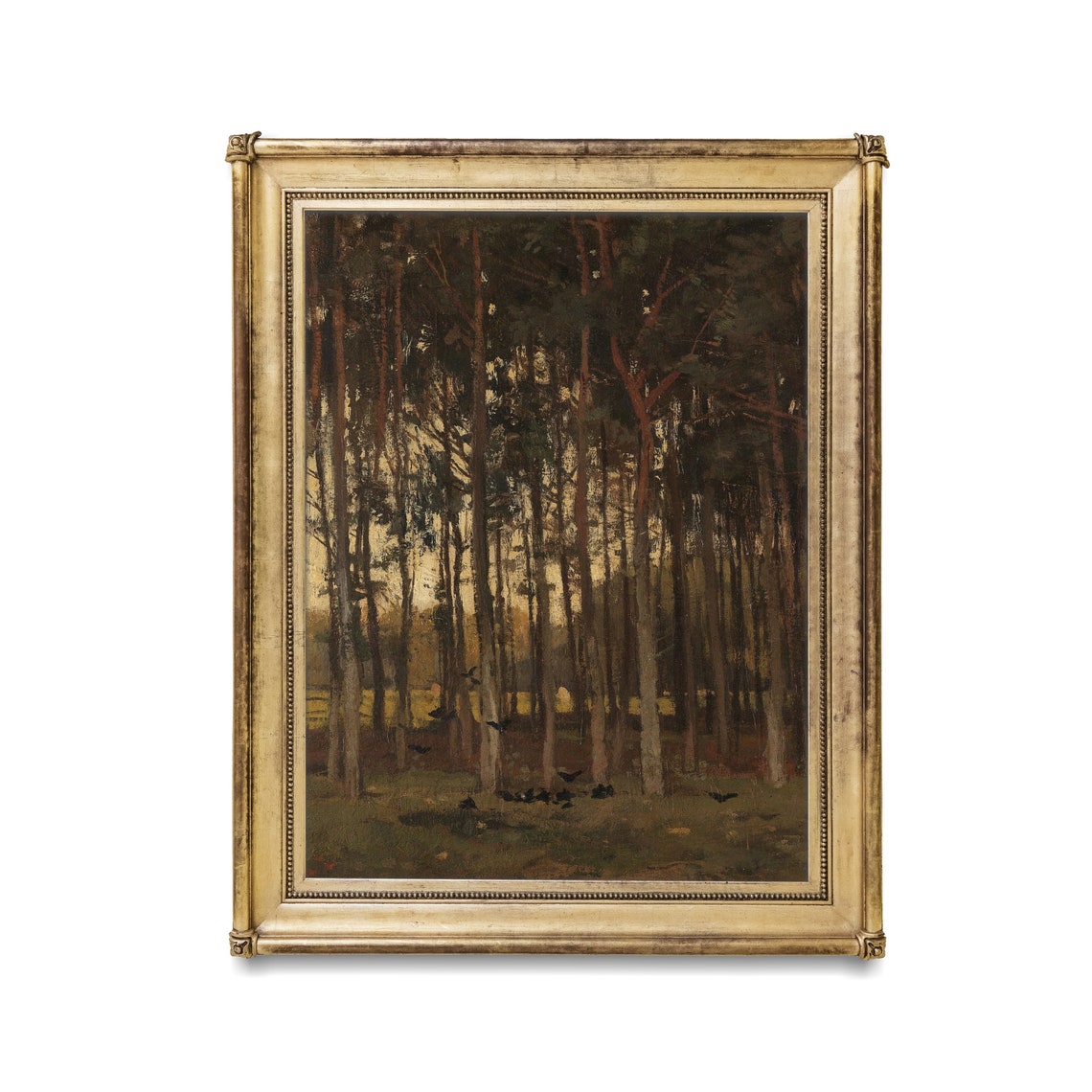 Dark Pine Forest at Dusk with Crows on the Shadowed Ground Poster - Image 2