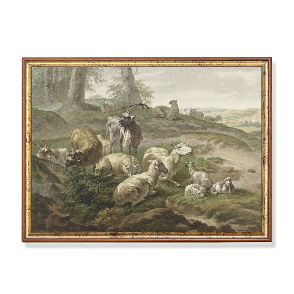 Sheep and Goats Resting on a Grassy Hillside Pastoral Poster