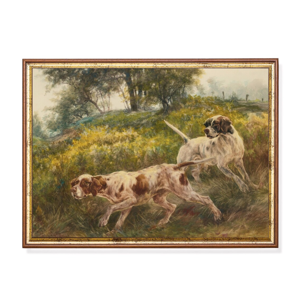 Two Hunting Dogs Running Through Tall Grass Vintage Painting Poster