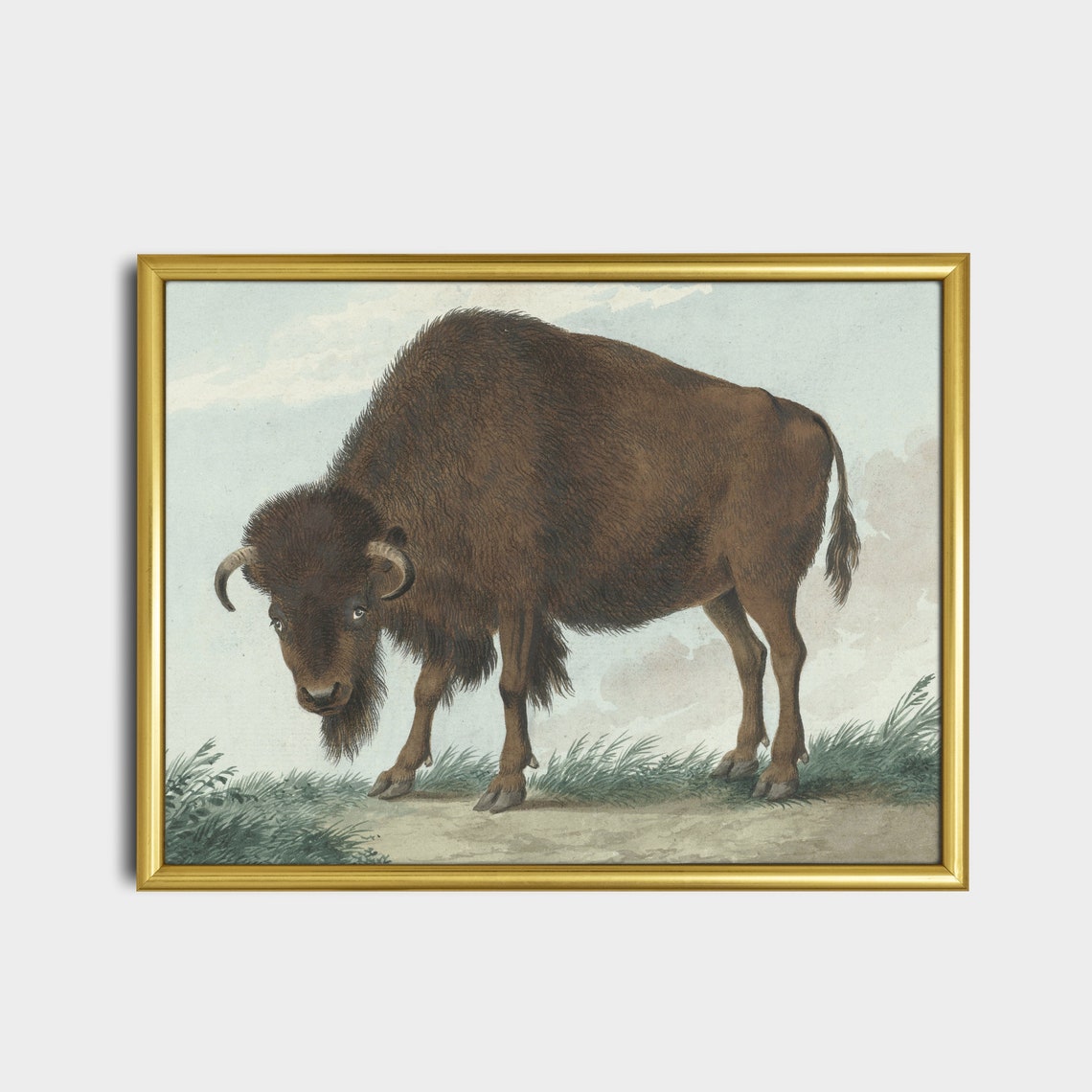 American Bison Standing in Tall Grass Vintage Wildlife Poster - Image 5