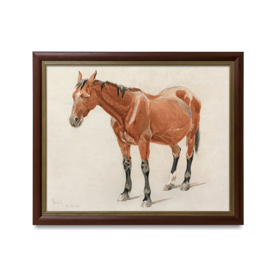 Chestnut Horse Standing Antique Equestrian Watercolor Study Poster - Image 4
