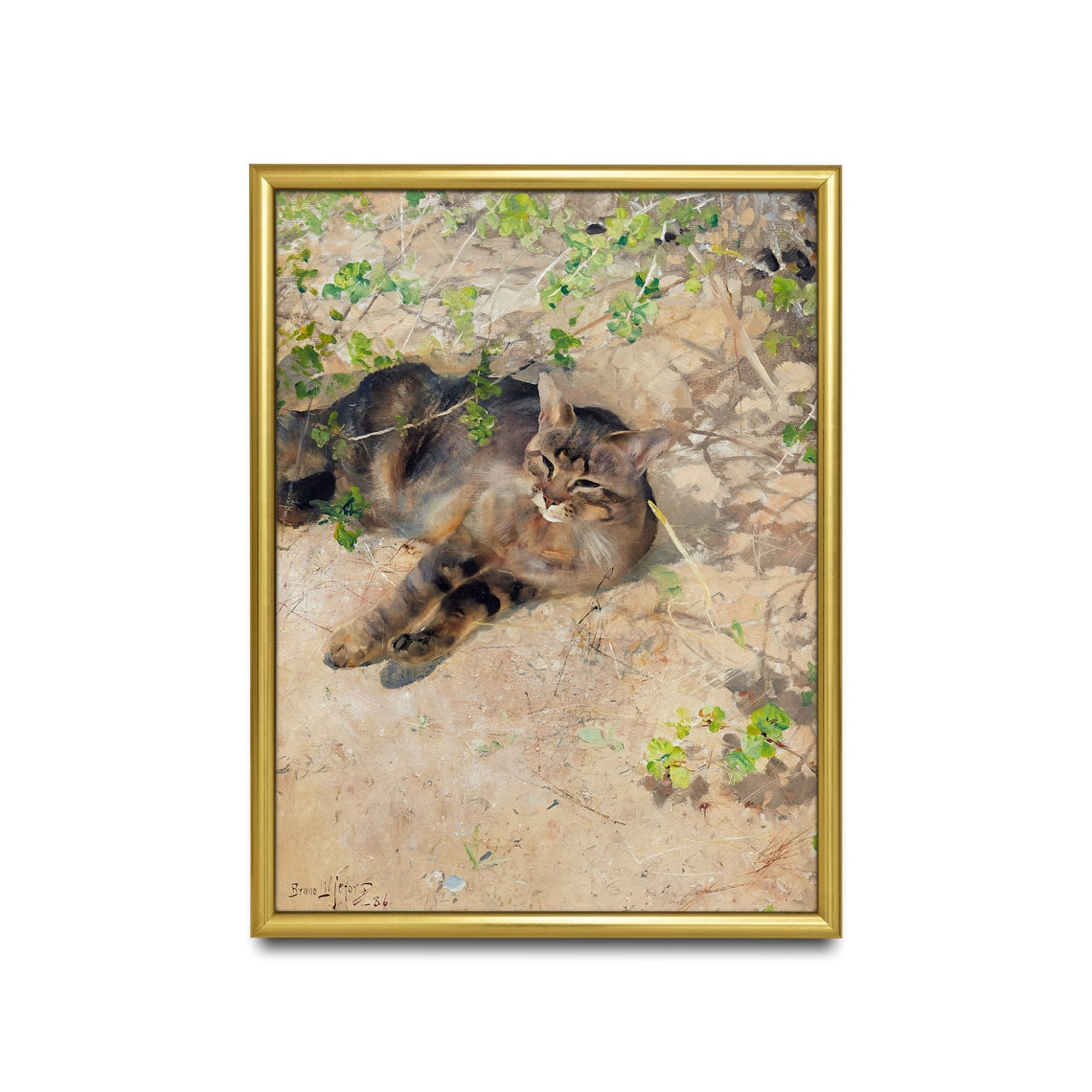 Sleeping Tabby Cat Lounging in Dappled Garden Sunlight Poster - Image 2