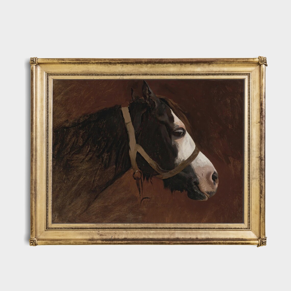 Vintage Horse Portrait Antique Animal Print - Image 4