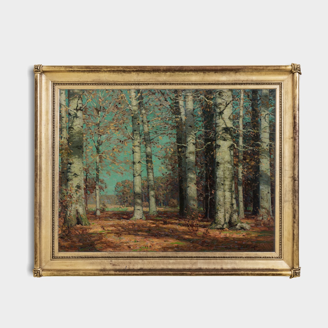 Tall Autumn Trees With White Trunks in a Quiet Forest Poster - Image 3