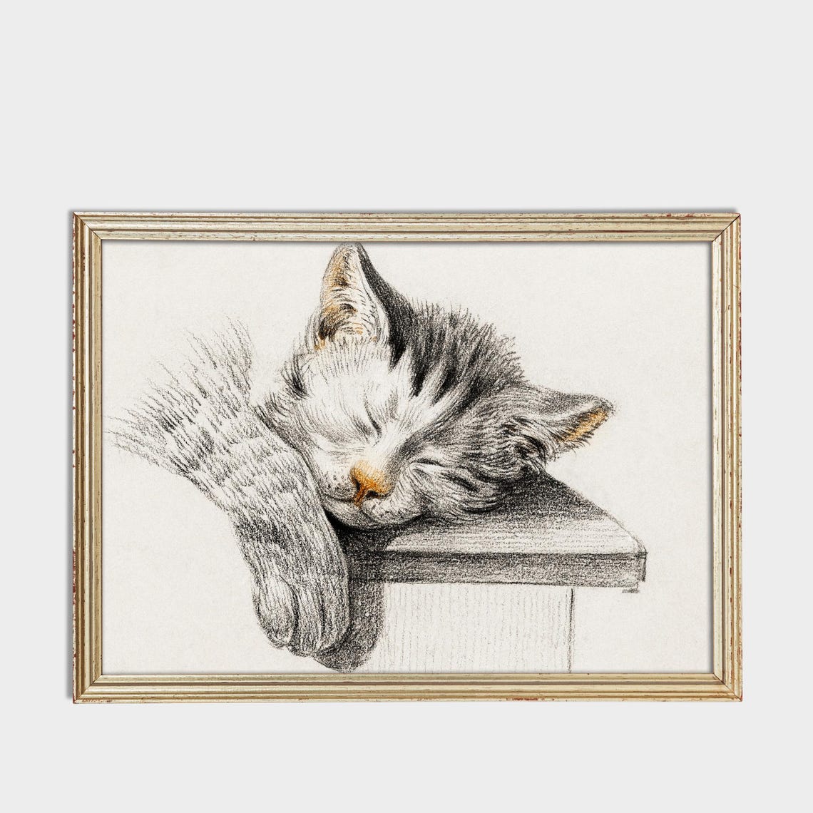 Sleeping Kitten Resting on a Wooden Box Charcoal Sketch Poster - Image 3