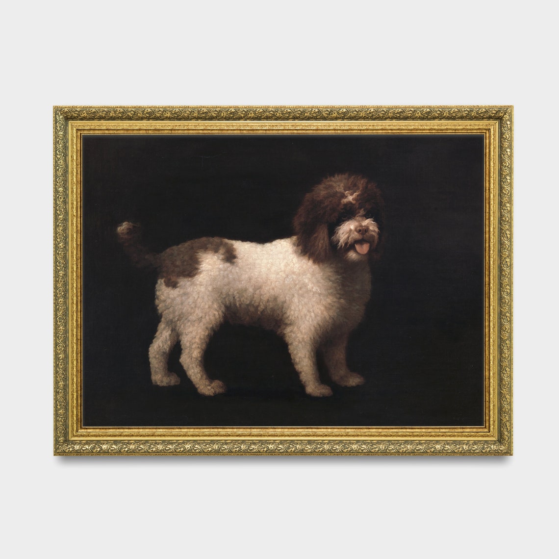 Brown and White Curly Coated Dog Against a Dark Background Poster - Image 3