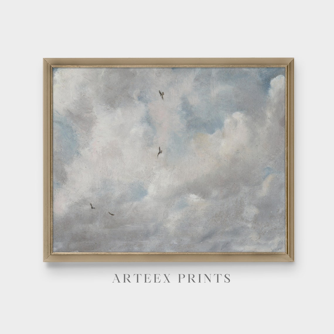 Dramatic Cloud Study With Birds Soaring in Gray Skies Poster - Image 3