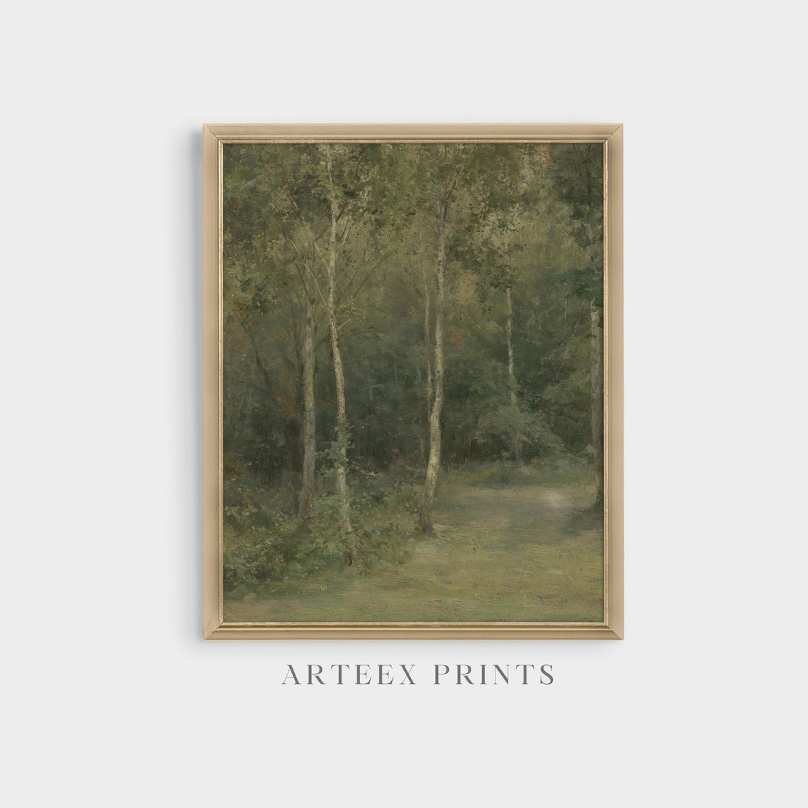Misty Birch Forest Interior Green Woodland Scene Vintage Poster - Image 5