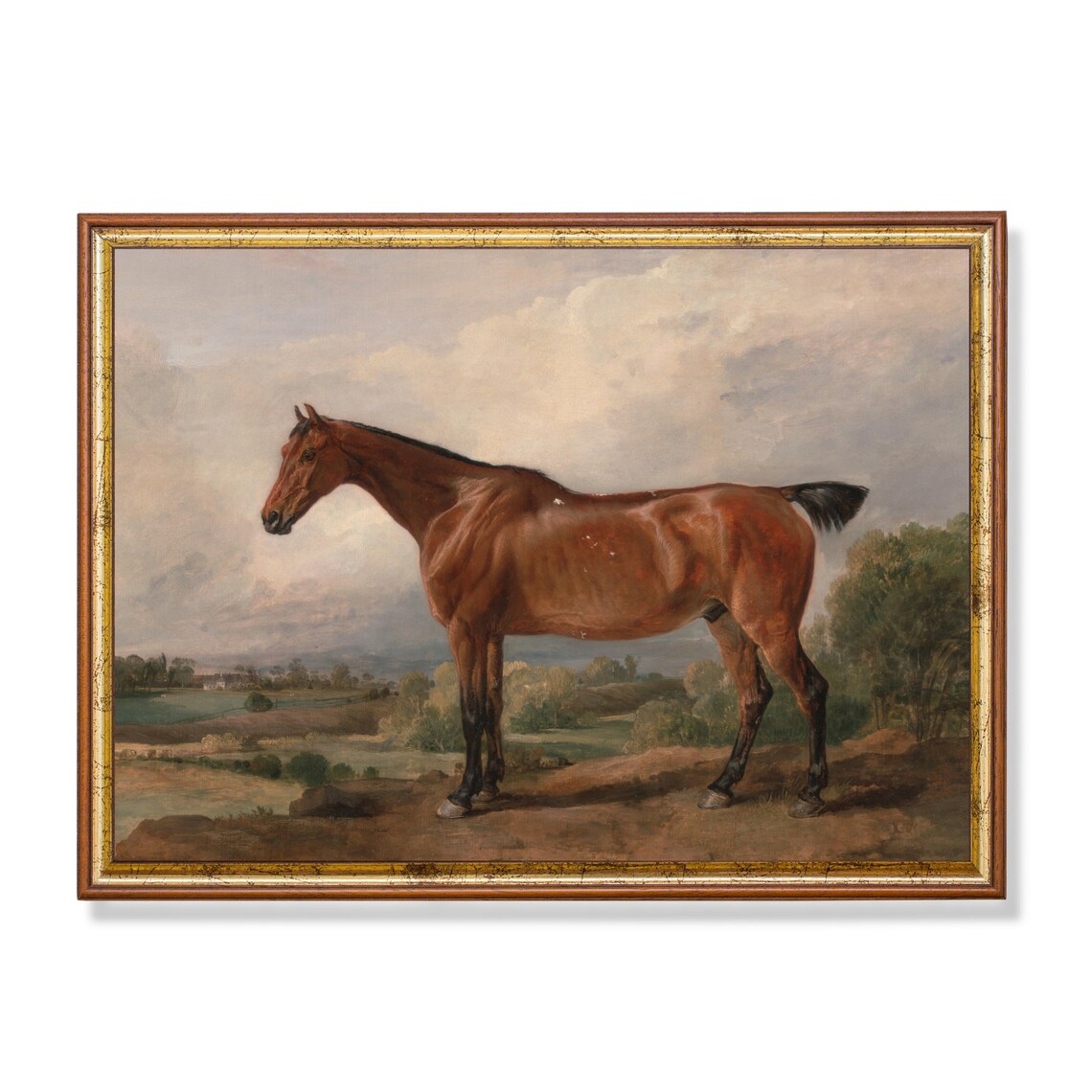 Antique Chestnut Horse Standing Under Cloudy Sky Vintage Art Poster